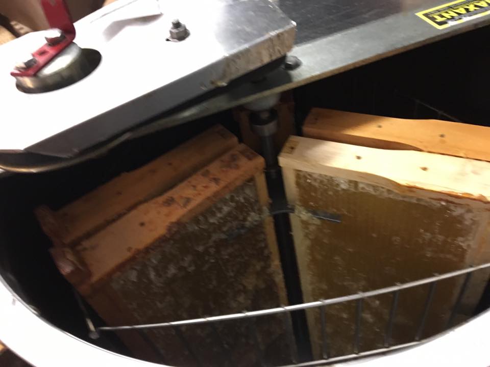 21078331_2005447399692483_2734164889077593138_n