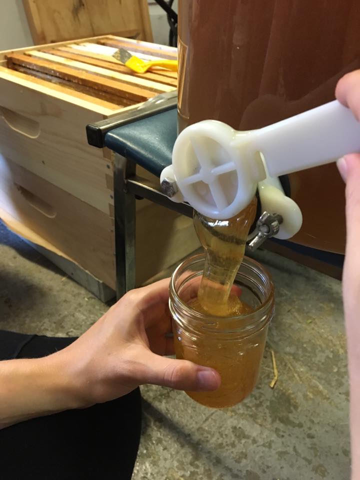 21106511_2005448169692406_2264980575707597092_n