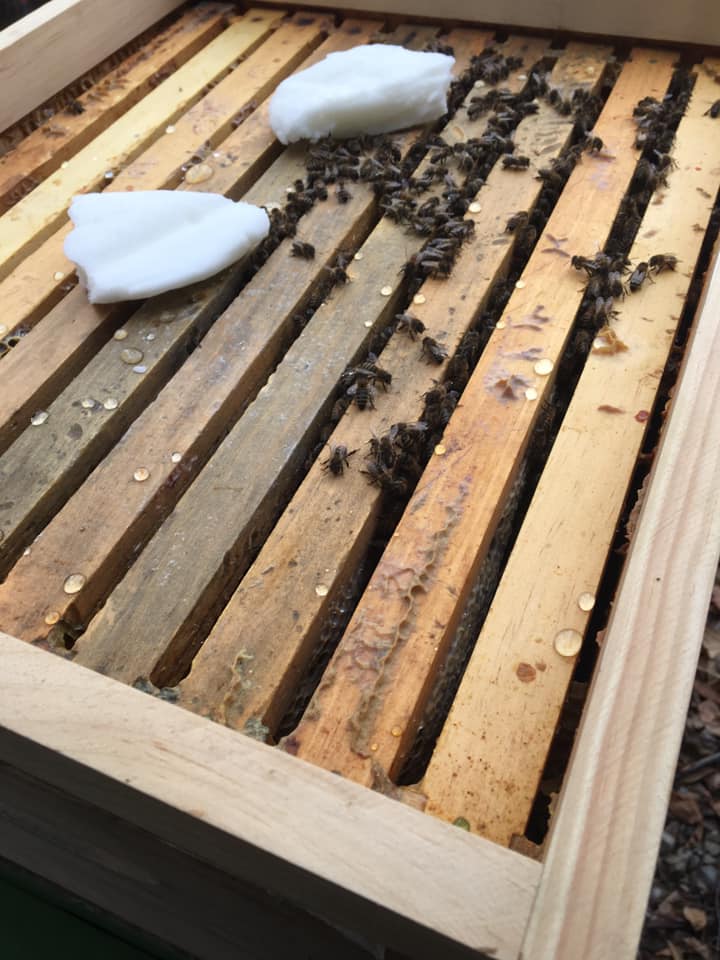 46516839_2261859857384568_817906749779476480_n