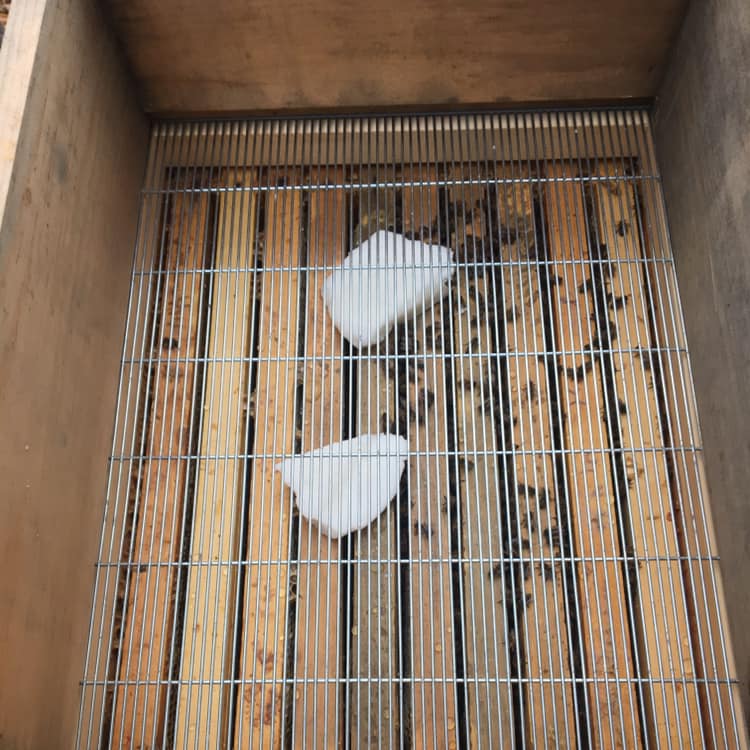 46836979_2261859874051233_7115137724150972416_n