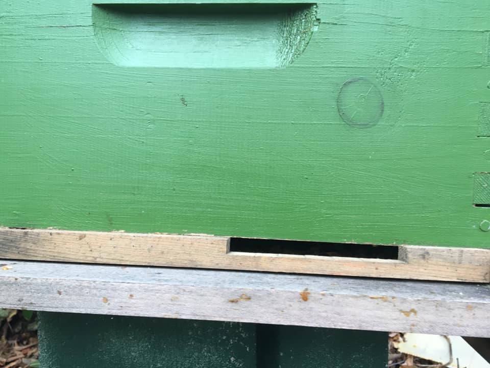 46919841_2261859980717889_4215943149043843072_n